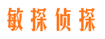 林州捉小三公司